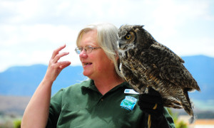 RaptorCenter6