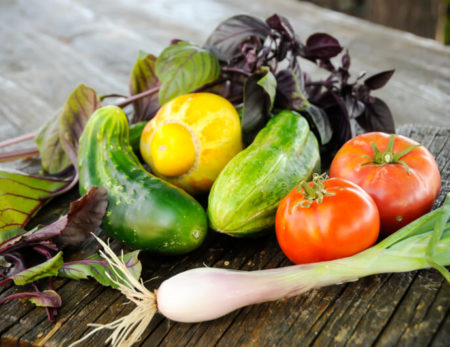 fresh ingredients and delicious menu options
