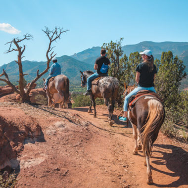 Horeseback ride with Academy Riding Stables